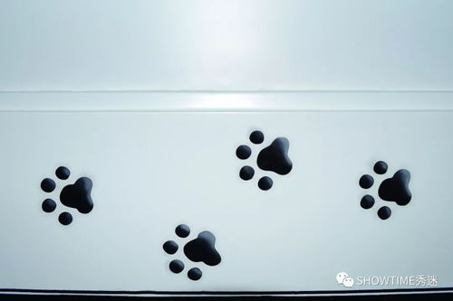 從寵物店購買寵物狗 明智選擇還是潛在陷阱？